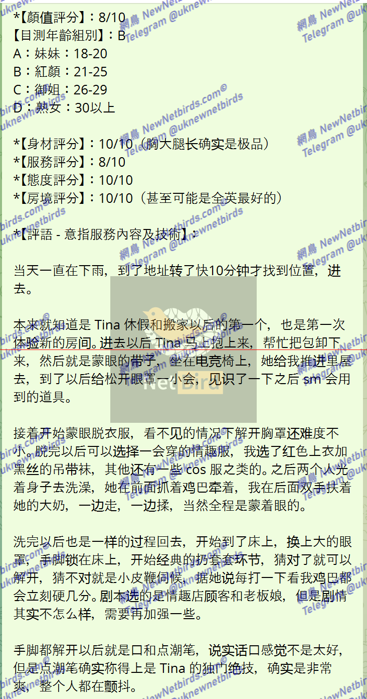 戰號 500 2.png